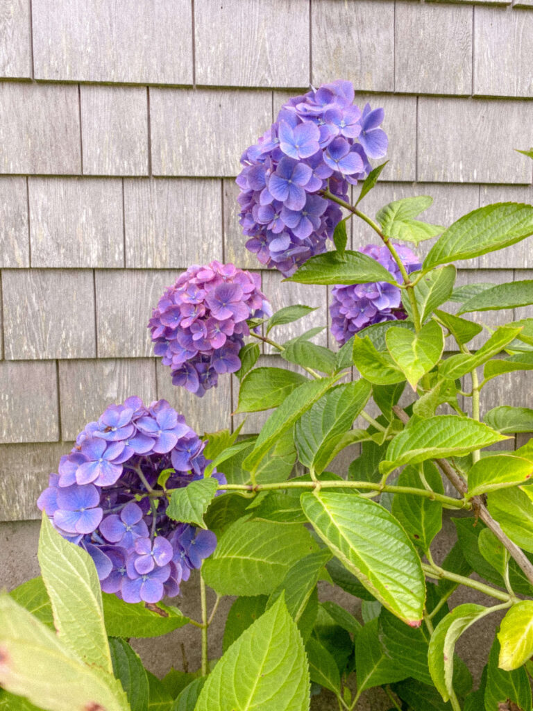 The 5 Best Places to Visiting on Cape Cod